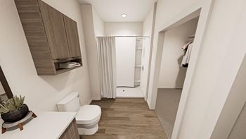 Primary bathroom